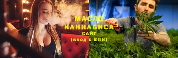 тгк Ельня