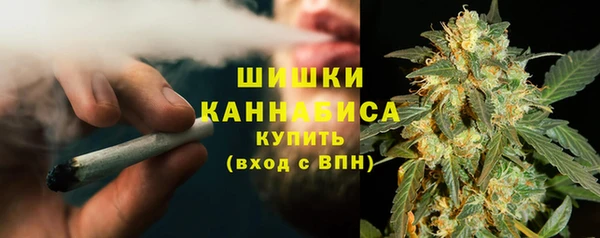 тгк Ельня