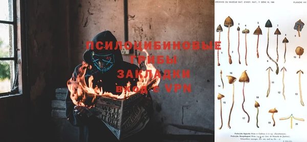 тгк Ельня