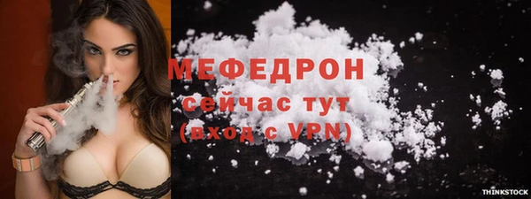тгк Ельня