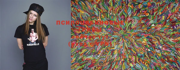 прущая мука Елабуга