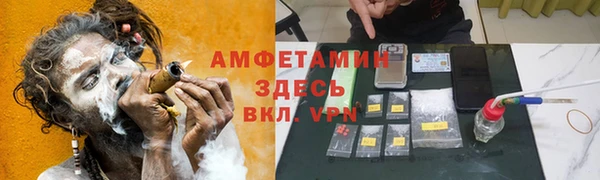 тгк Ельня