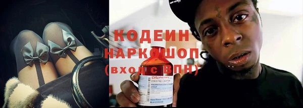 тгк Ельня