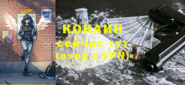 тгк Ельня