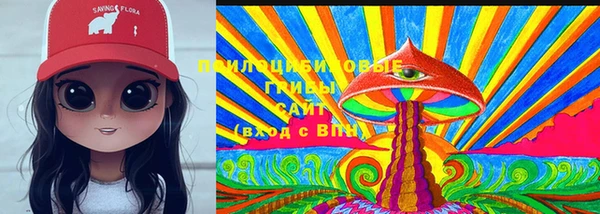 тгк Ельня