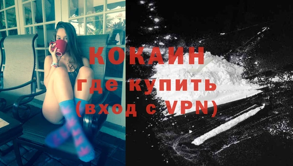 тгк Ельня