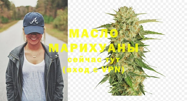 тгк Ельня