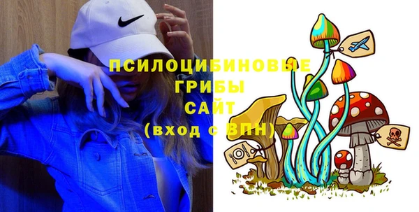 хмурый Елизово