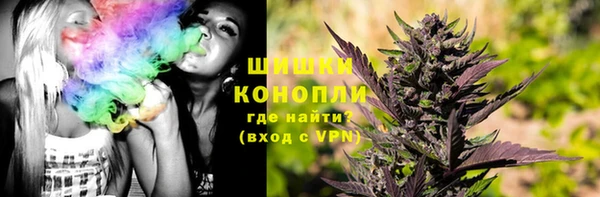 хмурый Елизово