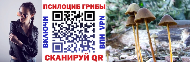 Псилоцибиновые грибы Cubensis  Ладушкин 